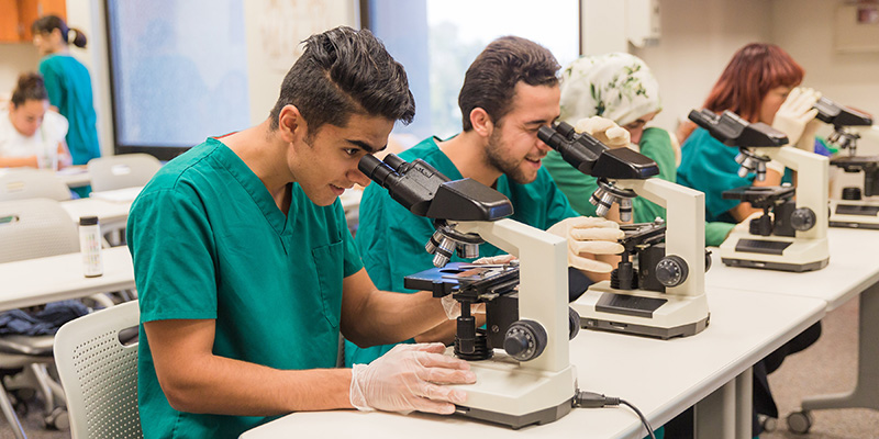 Four medical assistant students looking through microscopes